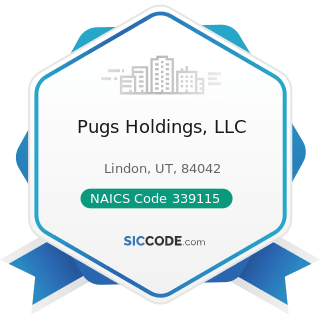 Pugs Holdings, LLC - NAICS Code 339115 - Ophthalmic Goods Manufacturing