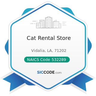Cat Rental Store - NAICS Code 532289 - All Other Consumer Goods Rental