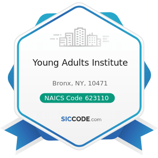 Young Adults Institute - NAICS Code 623110 - Nursing Care Facilities (Skilled Nursing Facilities)