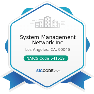 System Management Network Inc - NAICS Code 541519 - Other Computer Related Services