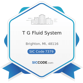 T G Fluid System - SIC Code 7379 - Computer Related Services, Not Elsewhere Classified