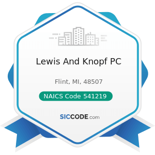 Lewis And Knopf PC - NAICS Code 541219 - Other Accounting Services
