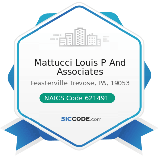Mattucci Louis P And Associates - NAICS Code 621491 - HMO Medical Centers