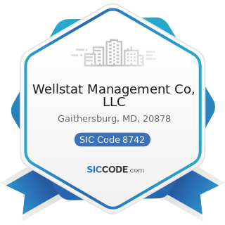 Wellstat Management Co, LLC - SIC Code 8742 - Management Consulting Services