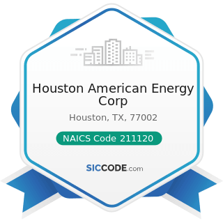 Houston American Energy Corp - NAICS Code 211120 - Crude Petroleum Extraction 
