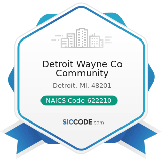 Detroit Wayne Co Community - NAICS Code 622210 - Psychiatric and Substance Abuse Hospitals
