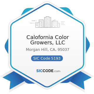 Calofornia Color Growers, LLC - SIC Code 5193 - Flowers, Nursery Stock, and Florists' Supplies