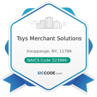 Tsys Merchant Solutions - NAICS Code 523999 - Miscellaneous Financial Investment Activities