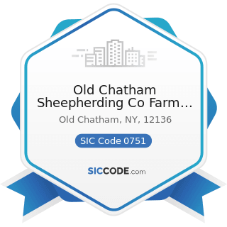 Old Chatham Sheepherding Co Farm And Creamery - SIC Code 0751 - Livestock Services, except...