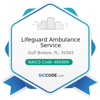 Lifeguard Ambulance Service - NAICS Code 485999 - All Other Transit and Ground Passenger...