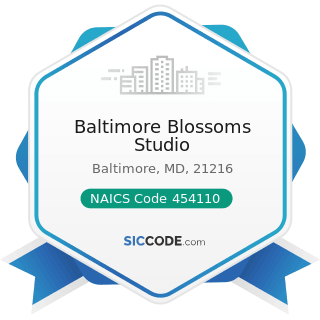 Baltimore Blossoms Studio - NAICS Code 454110 - Electronic Shopping and Mail-Order Houses