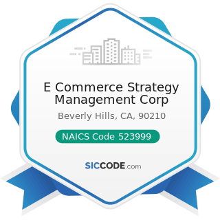 E Commerce Strategy Management Corp - NAICS Code 523999 - Miscellaneous Financial Investment...