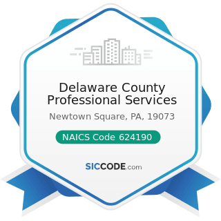 Delaware County Professional Services - NAICS Code 624190 - Other Individual and Family Services