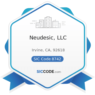 Neudesic, LLC - SIC Code 8742 - Management Consulting Services