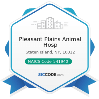 Pleasant Plains Animal Hosp - NAICS Code 541940 - Veterinary Services