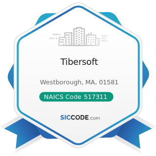 Tibersoft - NAICS Code 517311 - Wired Telecommunications Carriers