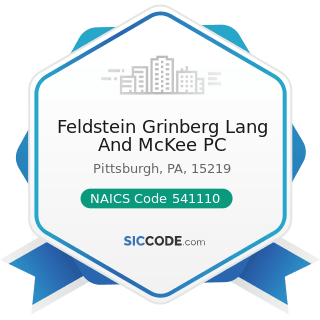 Feldstein Grinberg Lang And McKee PC - NAICS Code 541110 - Offices of Lawyers