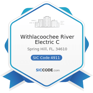 Withlacoochee River Electric C - SIC Code 4911 - Electric Services