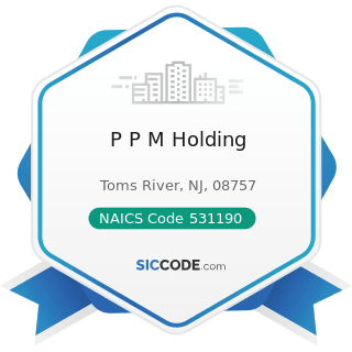 P P M Holding - NAICS Code 531190 - Lessors of Other Real Estate Property