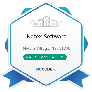 Netex Software - NAICS Code 541519 - Other Computer Related Services