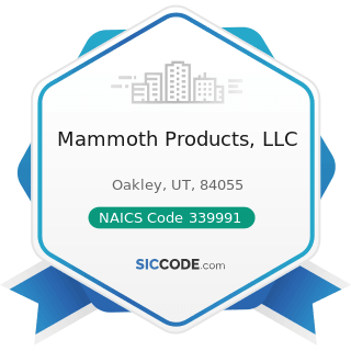 Mammoth Products, LLC - NAICS Code 339991 - Gasket, Packing, and Sealing Device Manufacturing