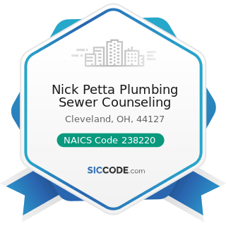 Nick Petta Plumbing Sewer Counseling - NAICS Code 238220 - Plumbing, Heating, and...