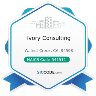 Ivory Consulting - NAICS Code 541511 - Custom Computer Programming Services