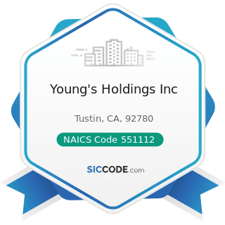 Young's Holdings Inc - NAICS Code 551112 - Offices of Other Holding Companies