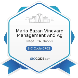 Mario Bazan Vineyard Management And Ag - SIC Code 0762 - Farm Management Services