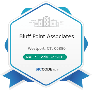 Bluff Point Associates - NAICS Code 523910 - Miscellaneous Intermediation